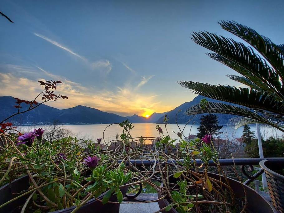 Apartment Terazza Di Ljuta Kotor Exterior foto